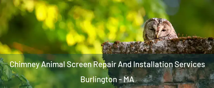  Chimney Animal Screen Repair And Installation Services Burlington - MA