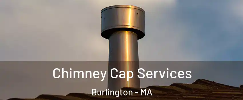  Chimney Cap Services Burlington - MA