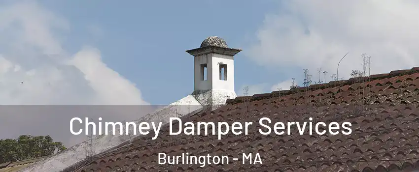  Chimney Damper Services Burlington - MA