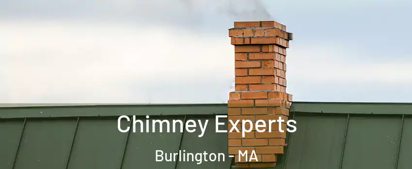  Chimney Experts Burlington - MA