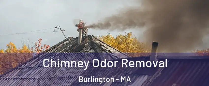  Chimney Odor Removal Burlington - MA