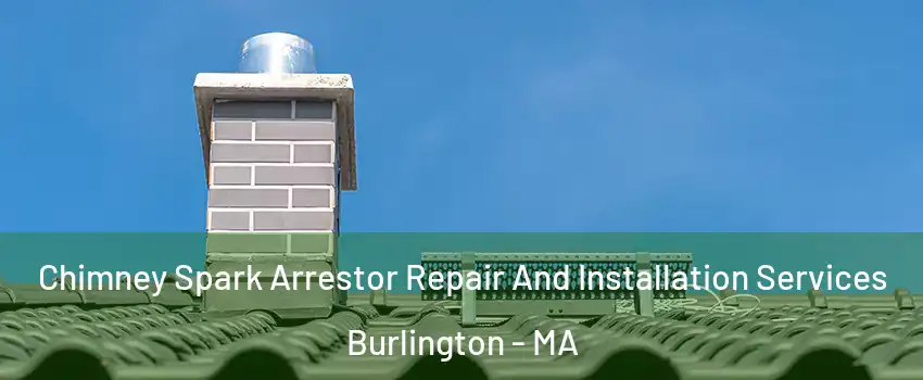  Chimney Spark Arrestor Repair And Installation Services Burlington - MA