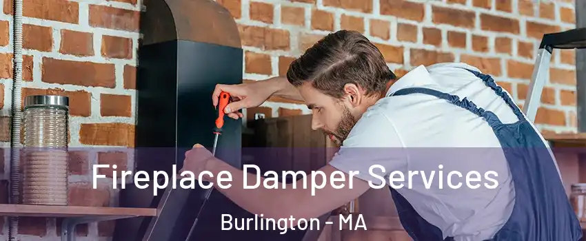  Fireplace Damper Services Burlington - MA