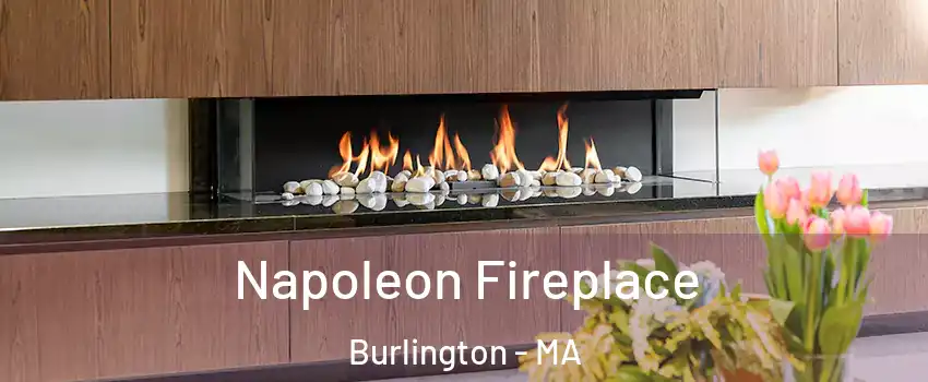  Napoleon Fireplace Burlington - MA